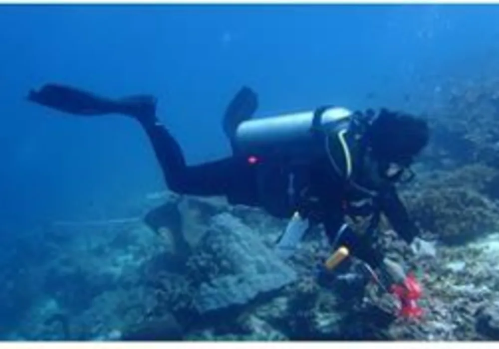 Peran AI dalam Konservasi Laut Indonesia