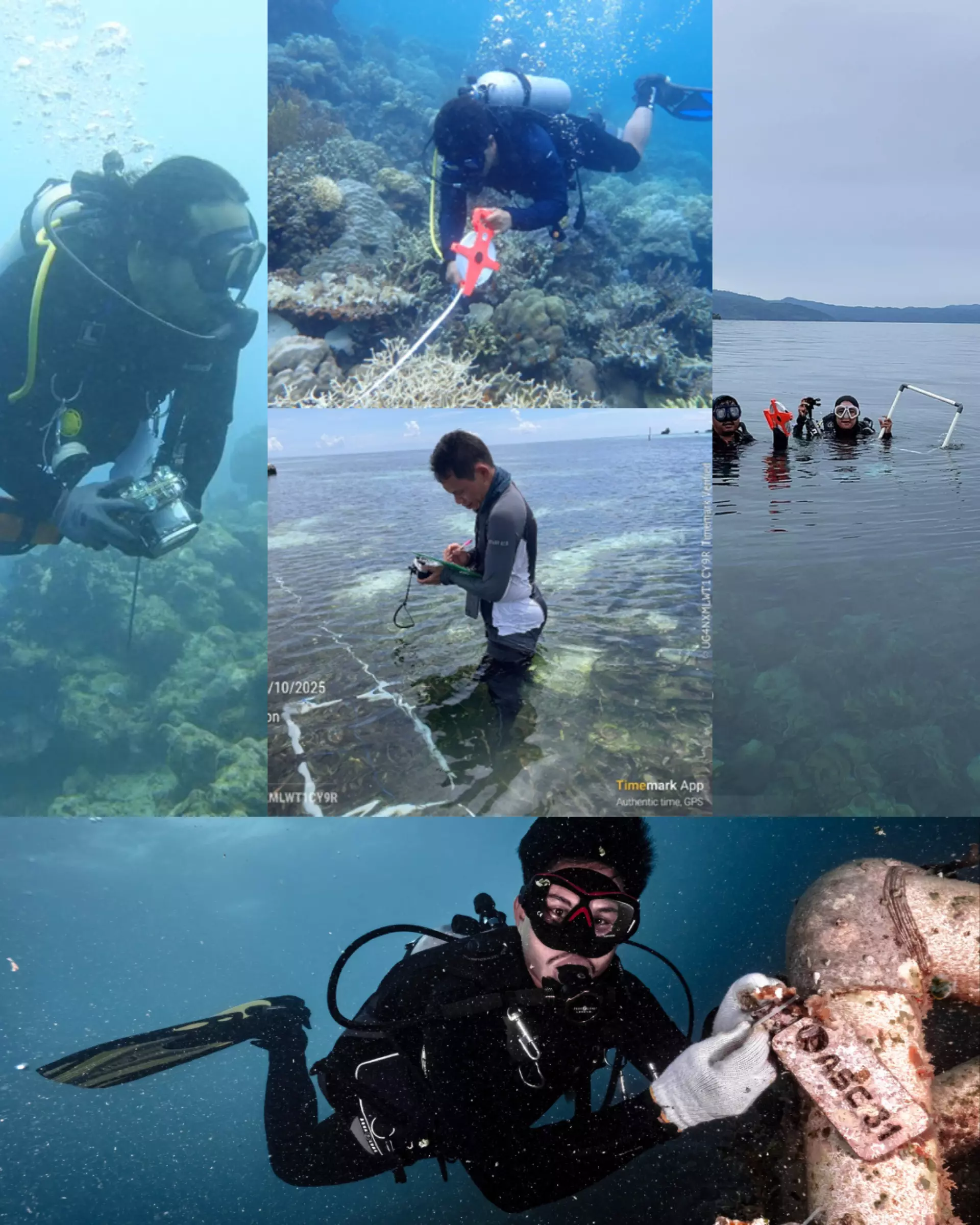 Penyelam melakukan pengukuran kondisi terumbu karang untuk survei hidrobiologi
