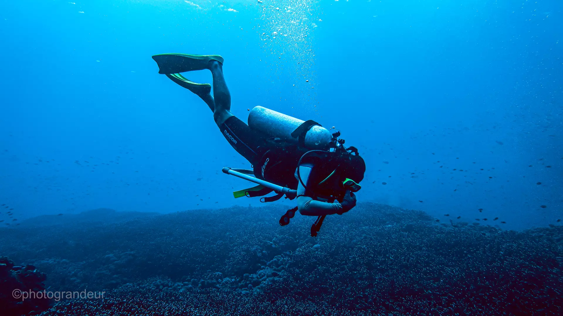 Pengamatan ekosistem bawah laut oleh tim selam